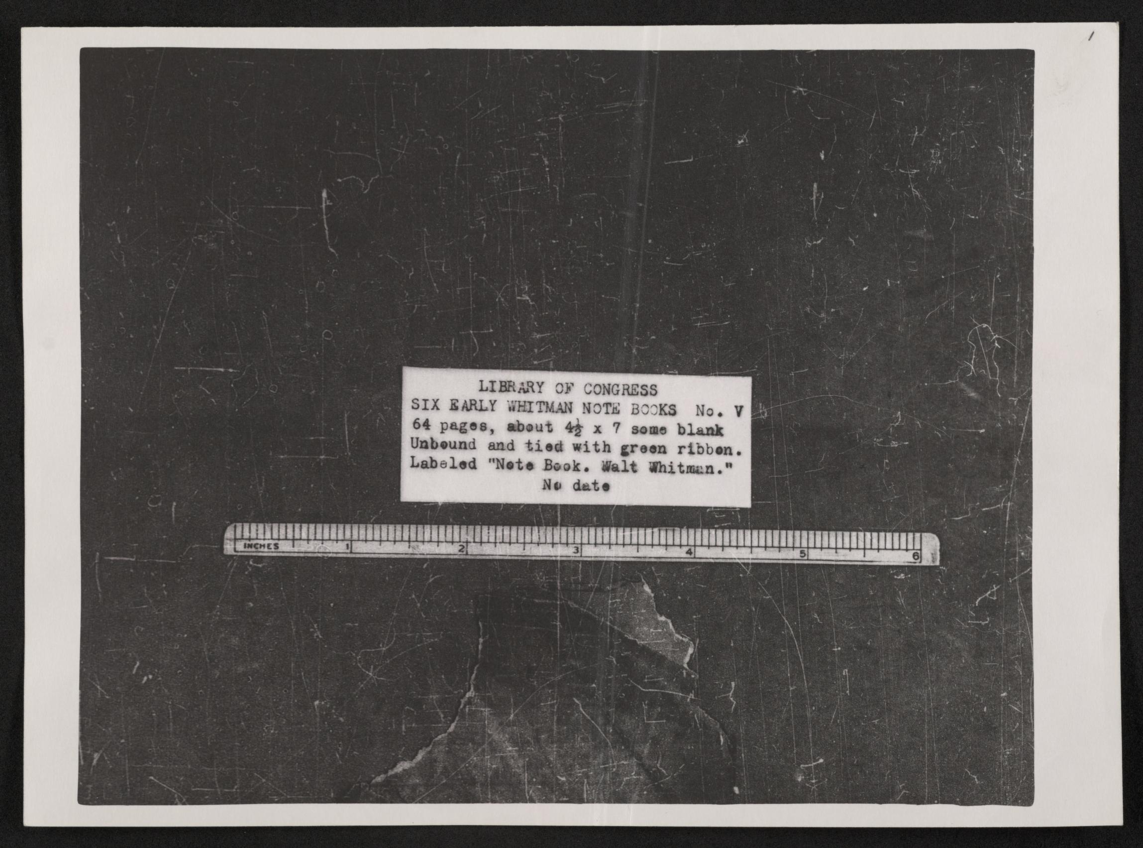 mss454430213-2