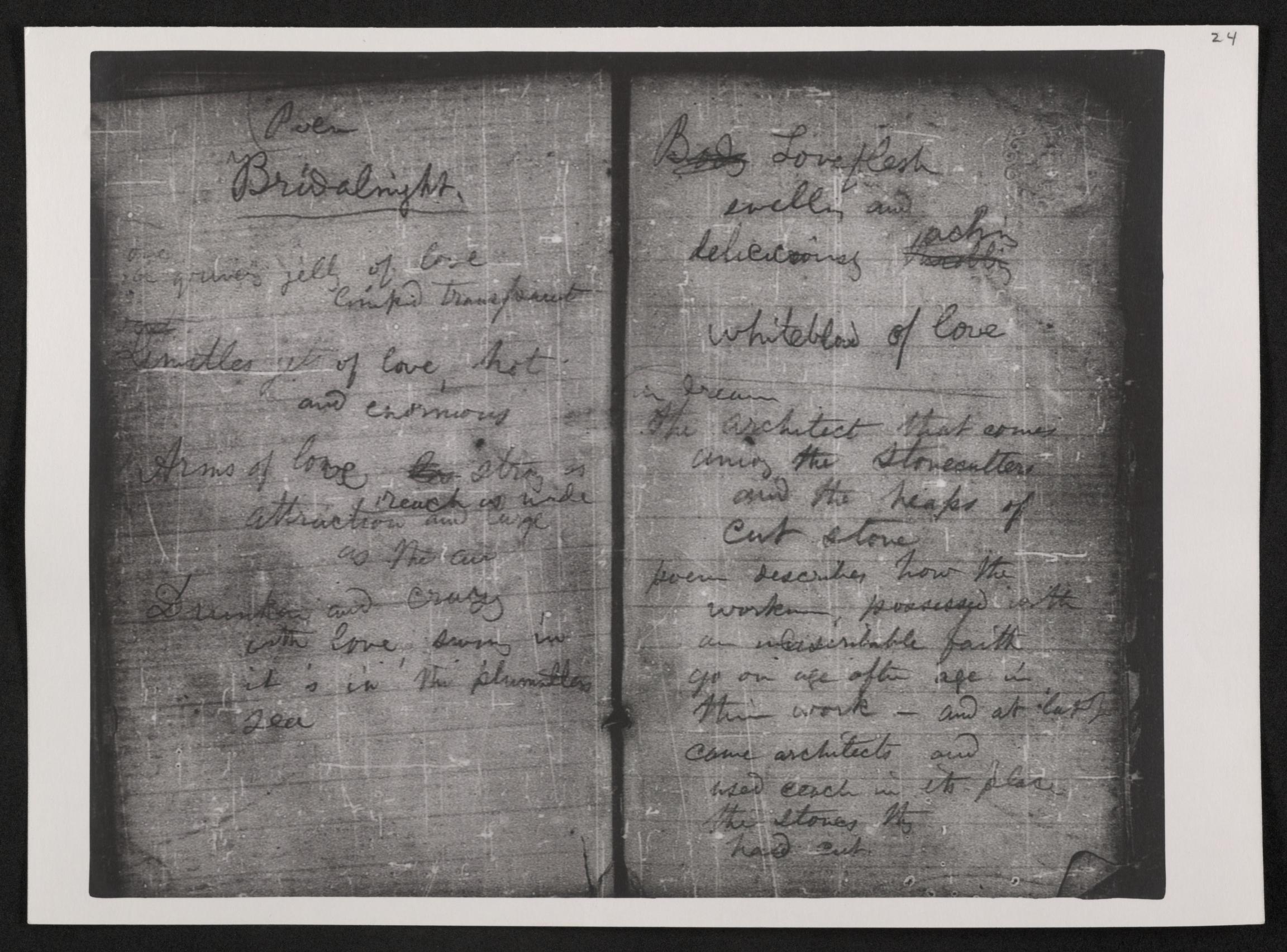 mss454430213-26