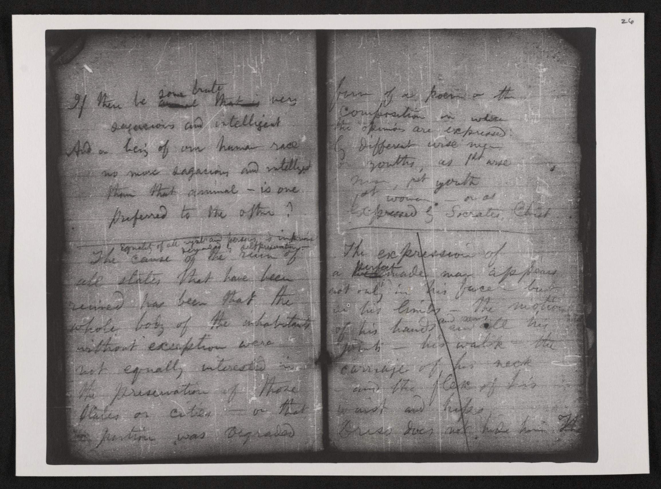 mss454430213-28