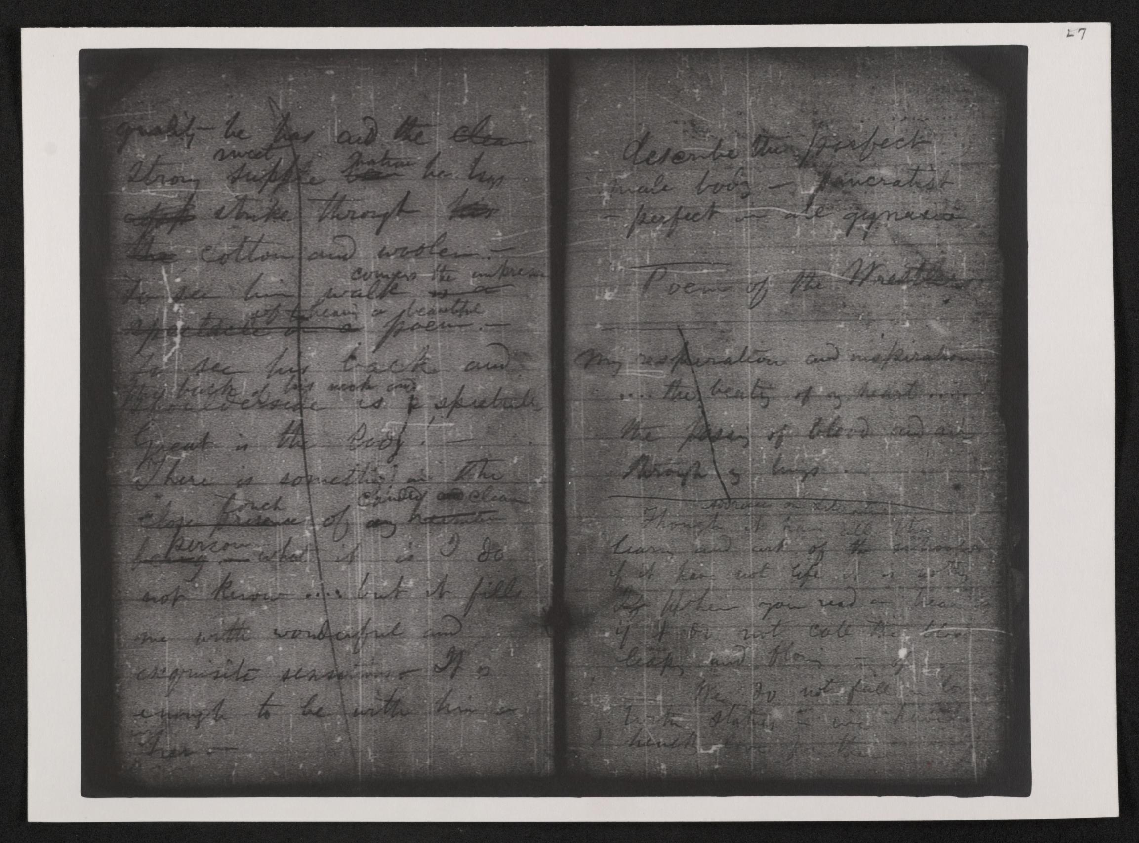 mss454430213-29