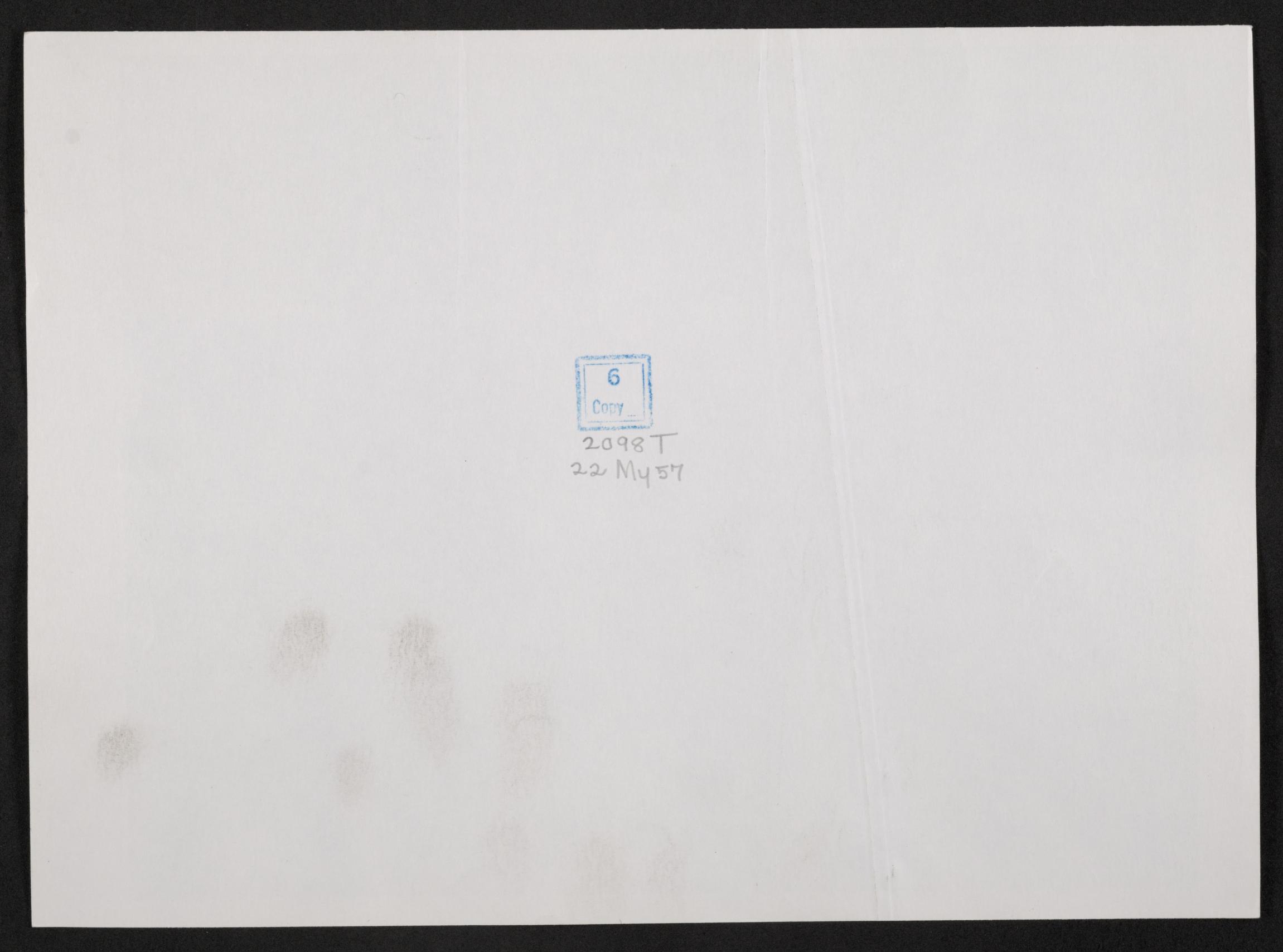 mss454430213-4
