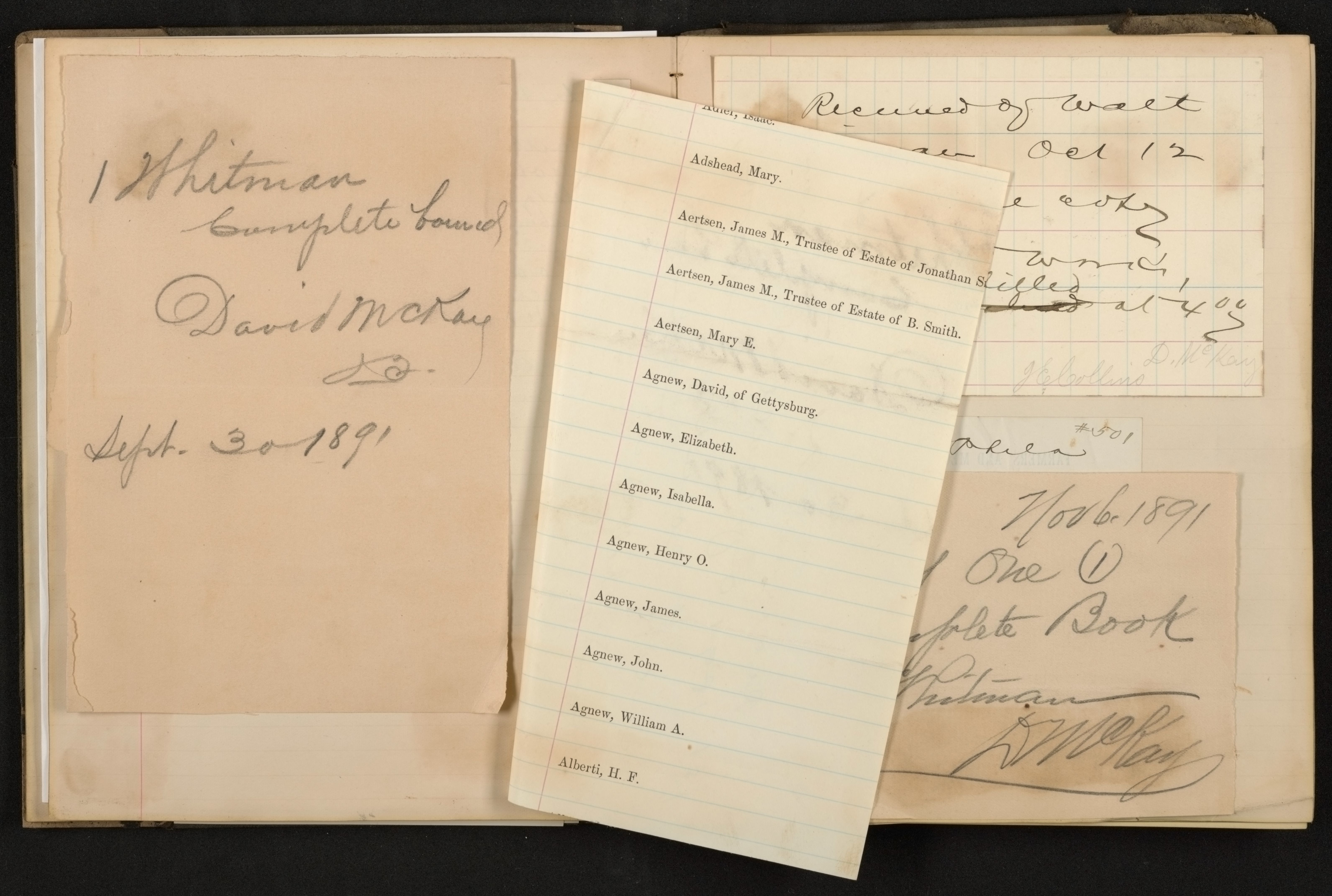 mss1863001528-29