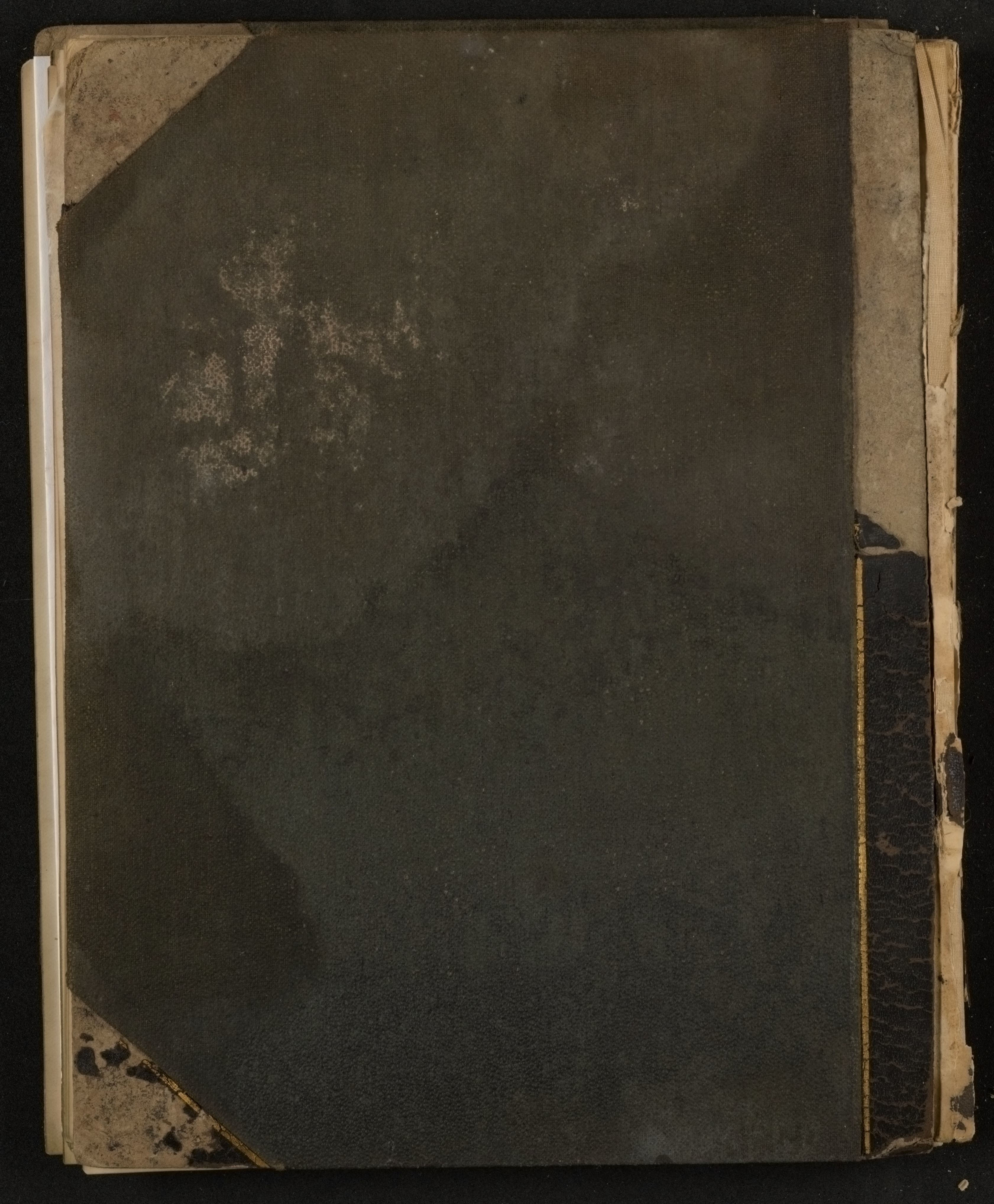 mss1863001528-43