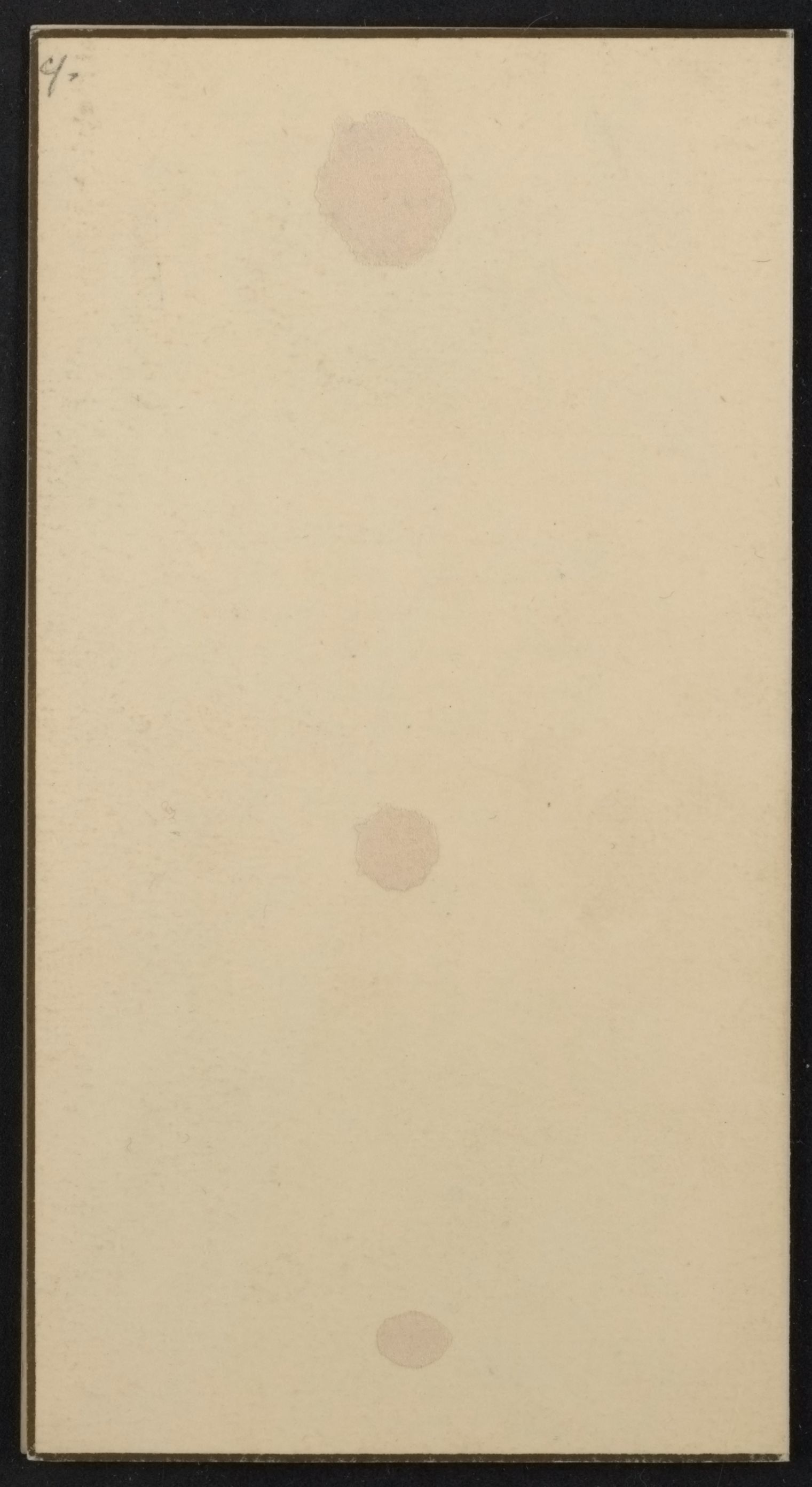 mss1863001543-19