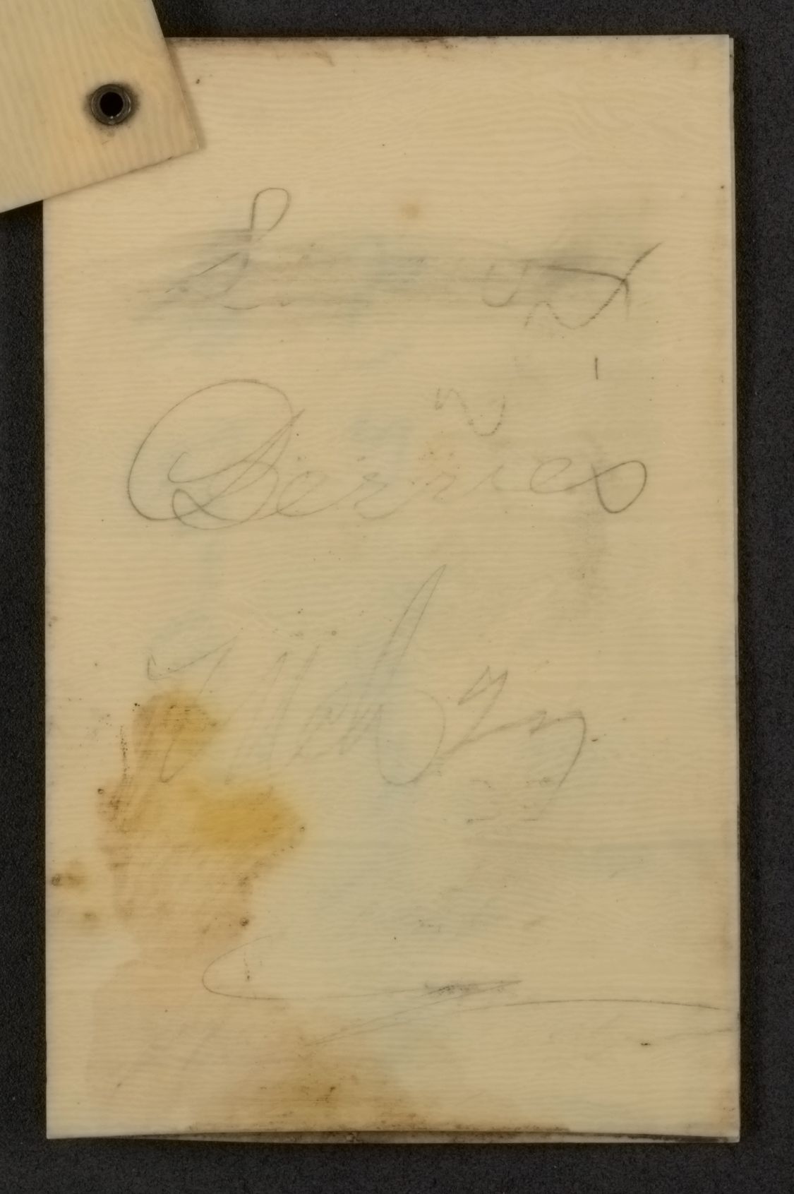 mss1863001584-4