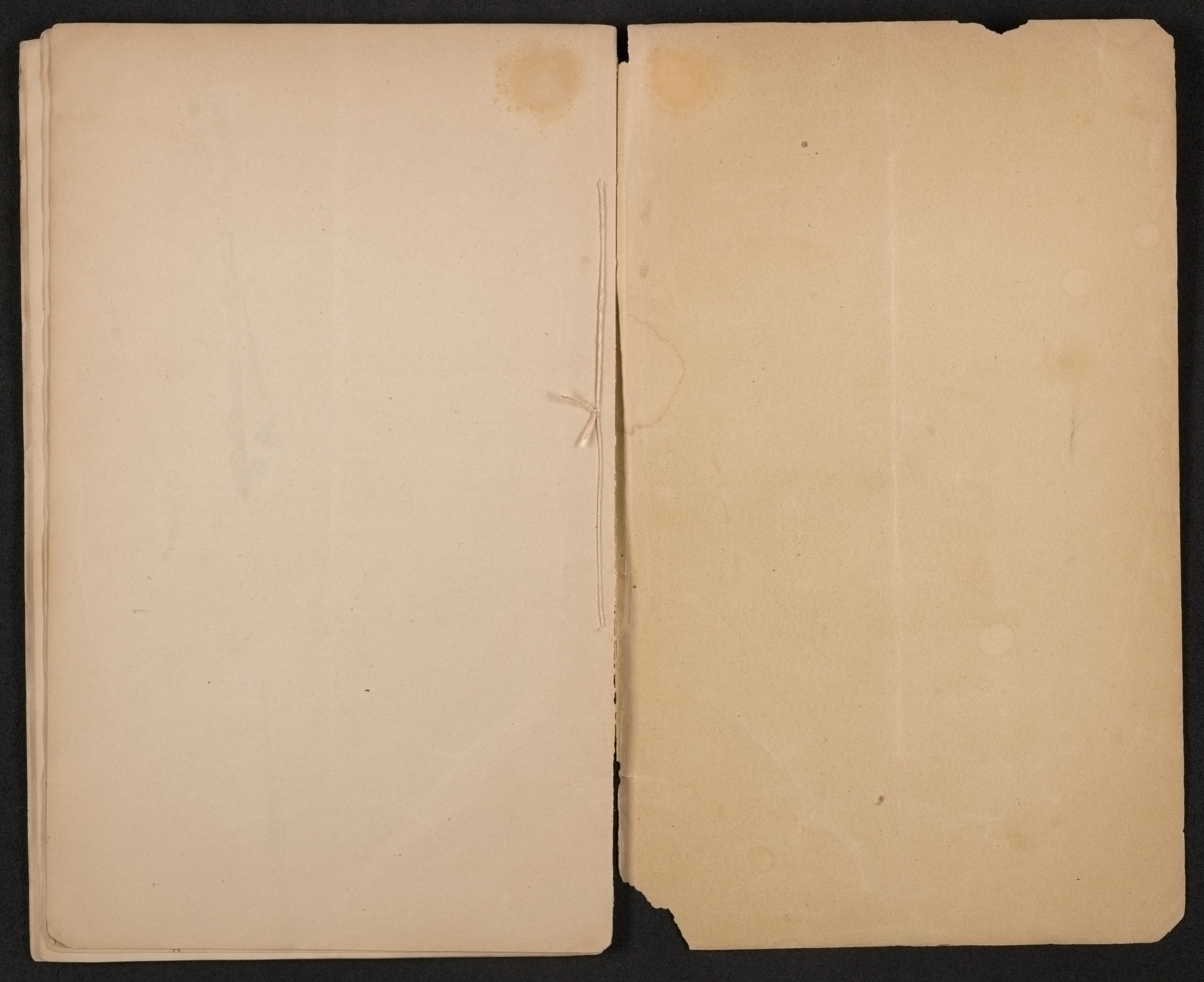 mss1863001586-115