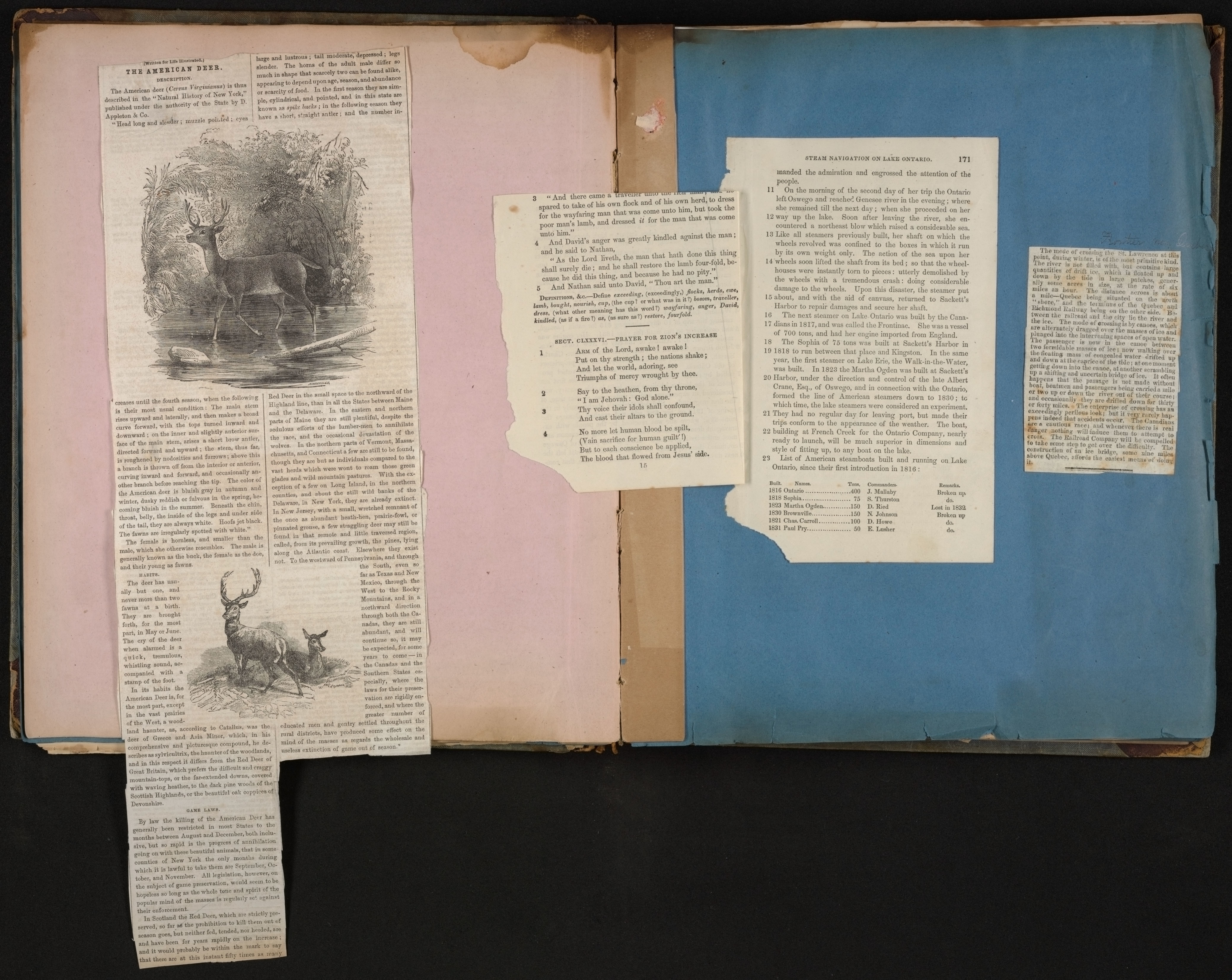 Scanned image of the current content page