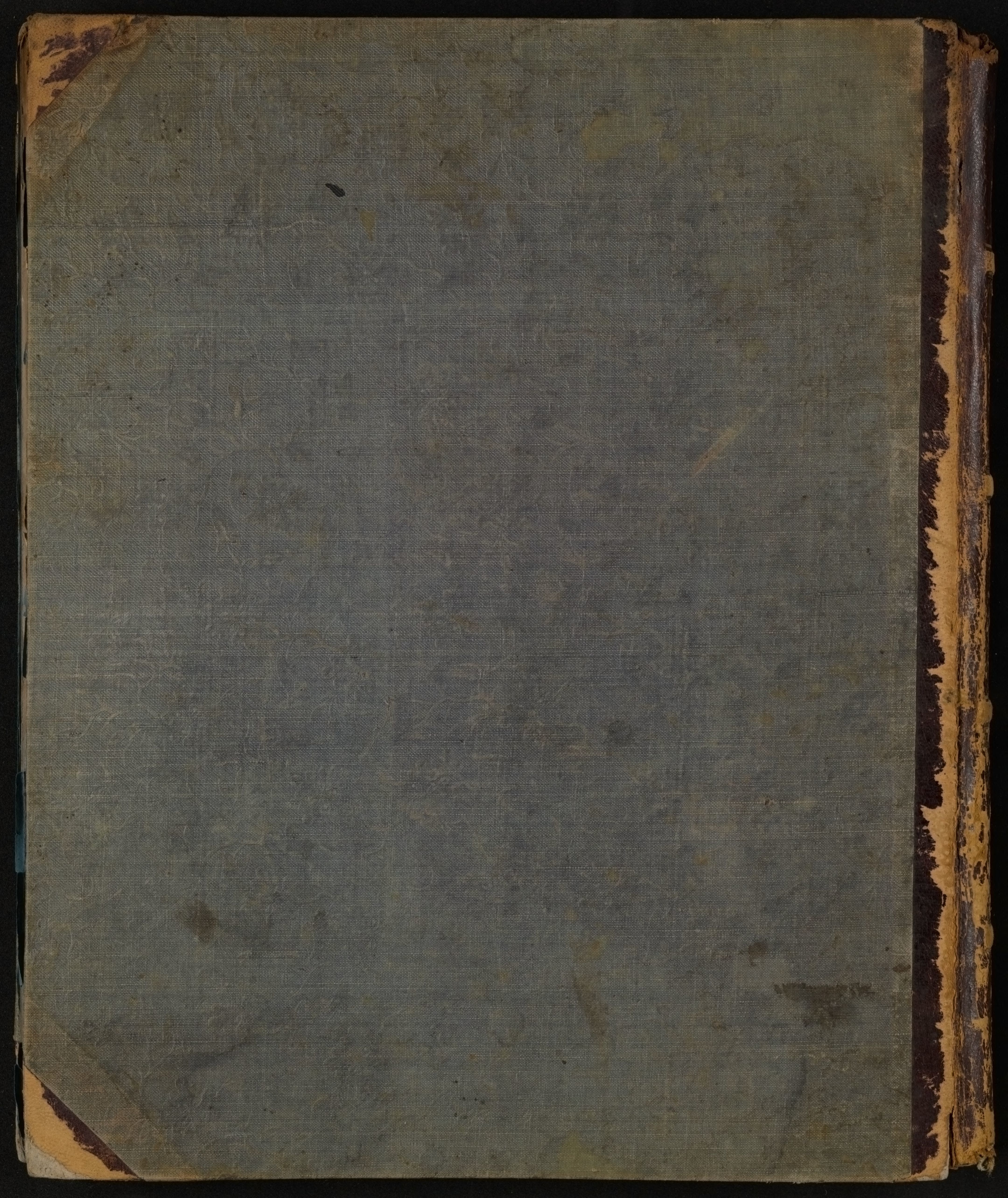 mss1863001605-91