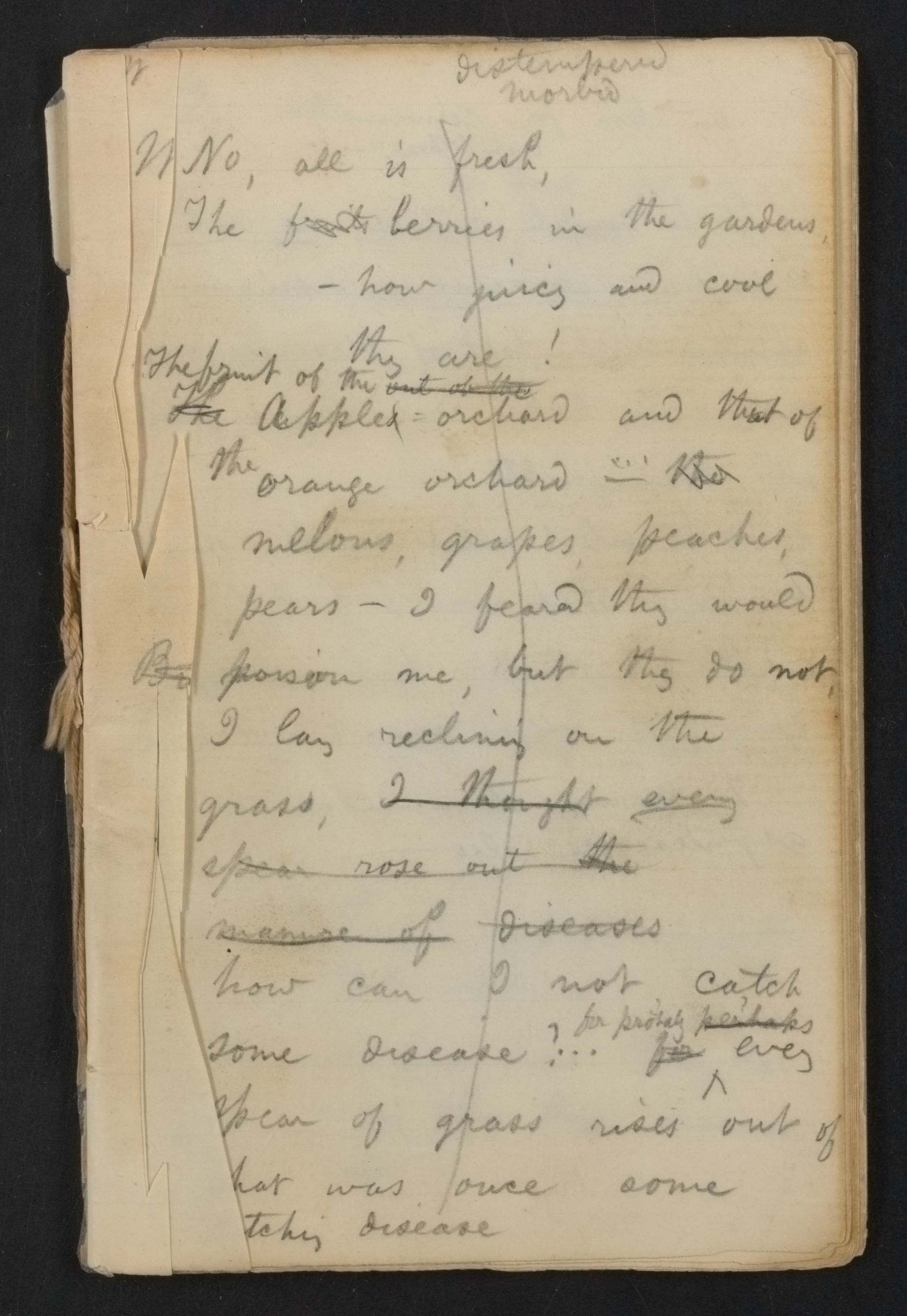 Scanned image of the current content page