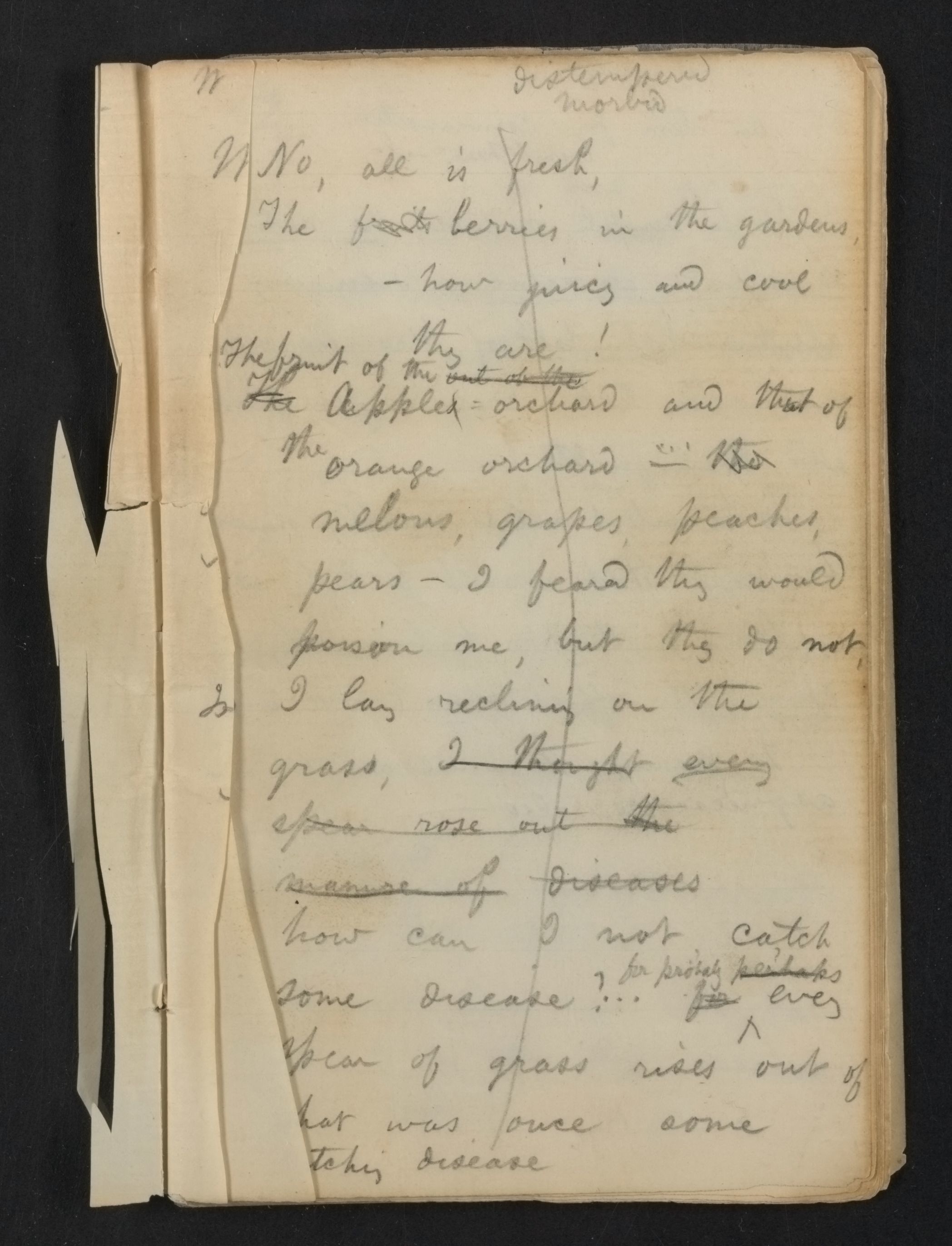 Scanned image of the current content page
