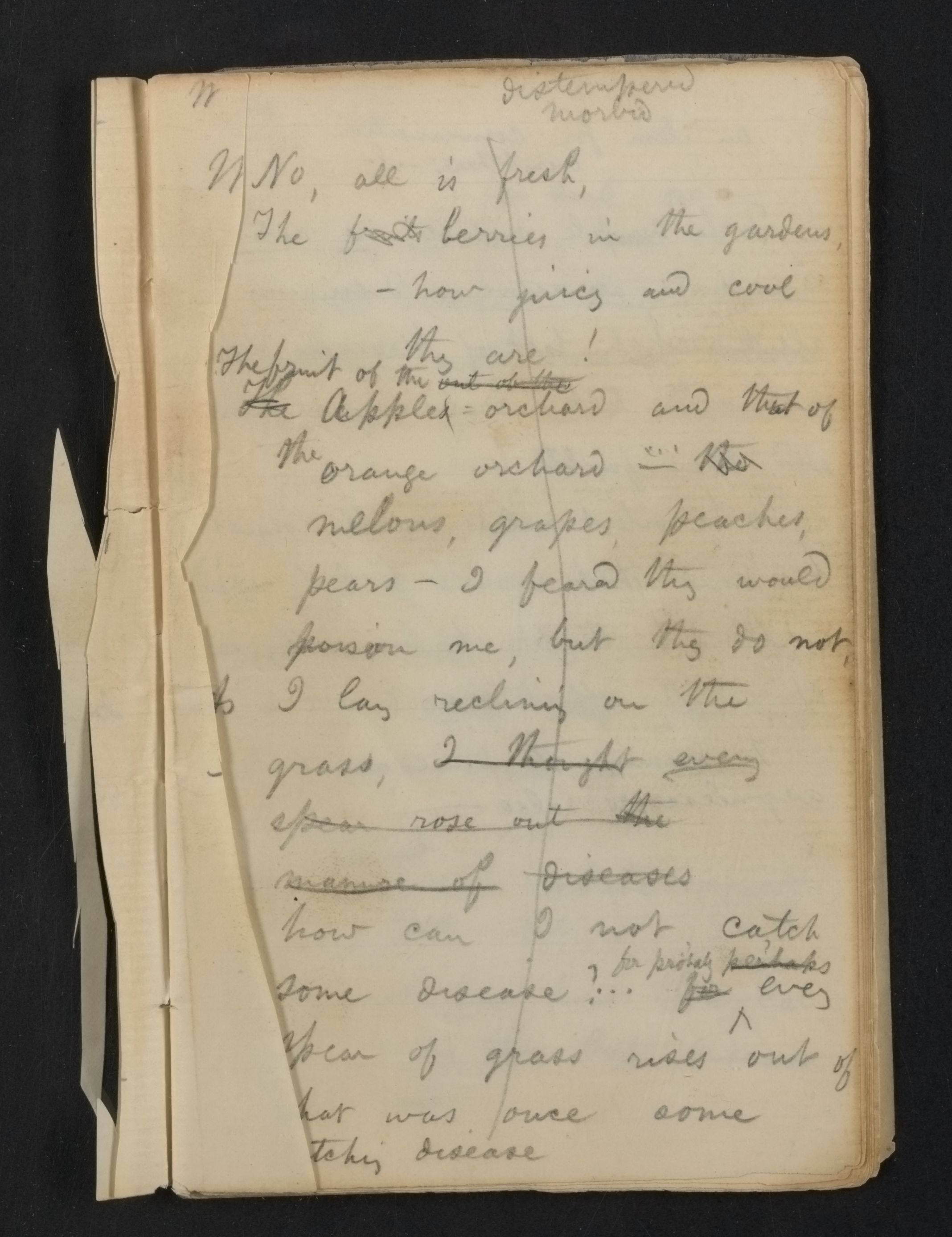 Scanned image of the current content page