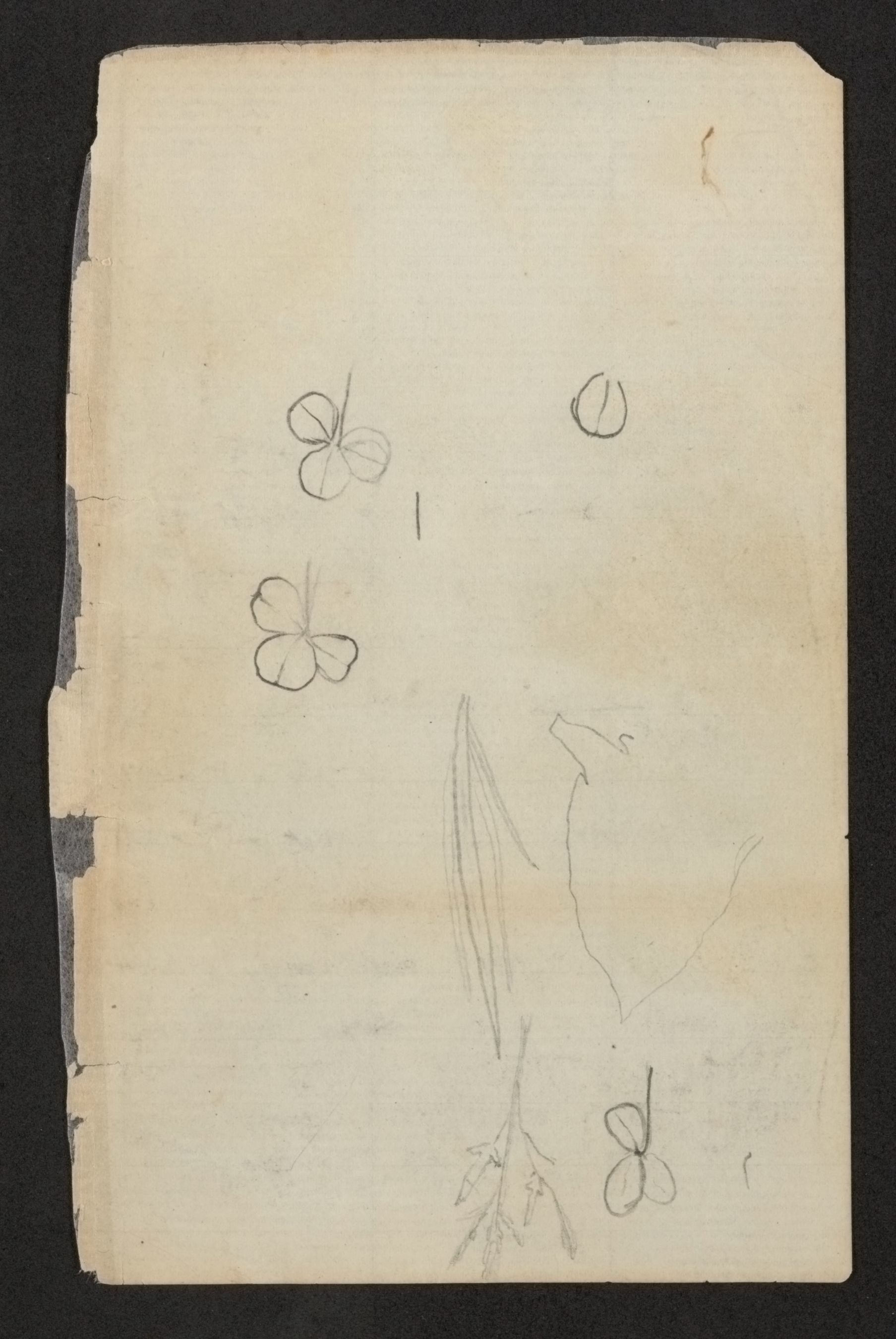 mss1863001146-39