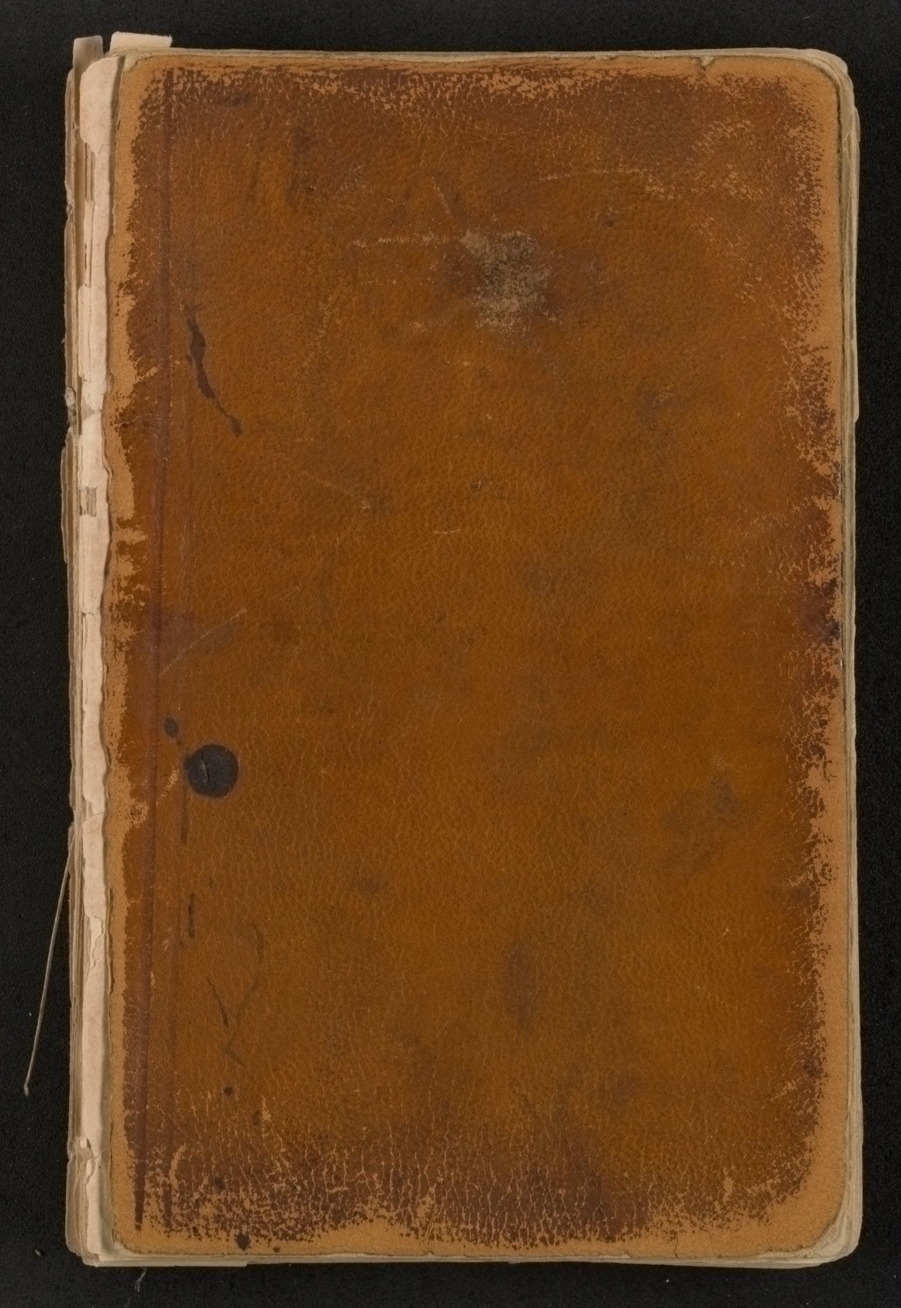mss1863001148-4