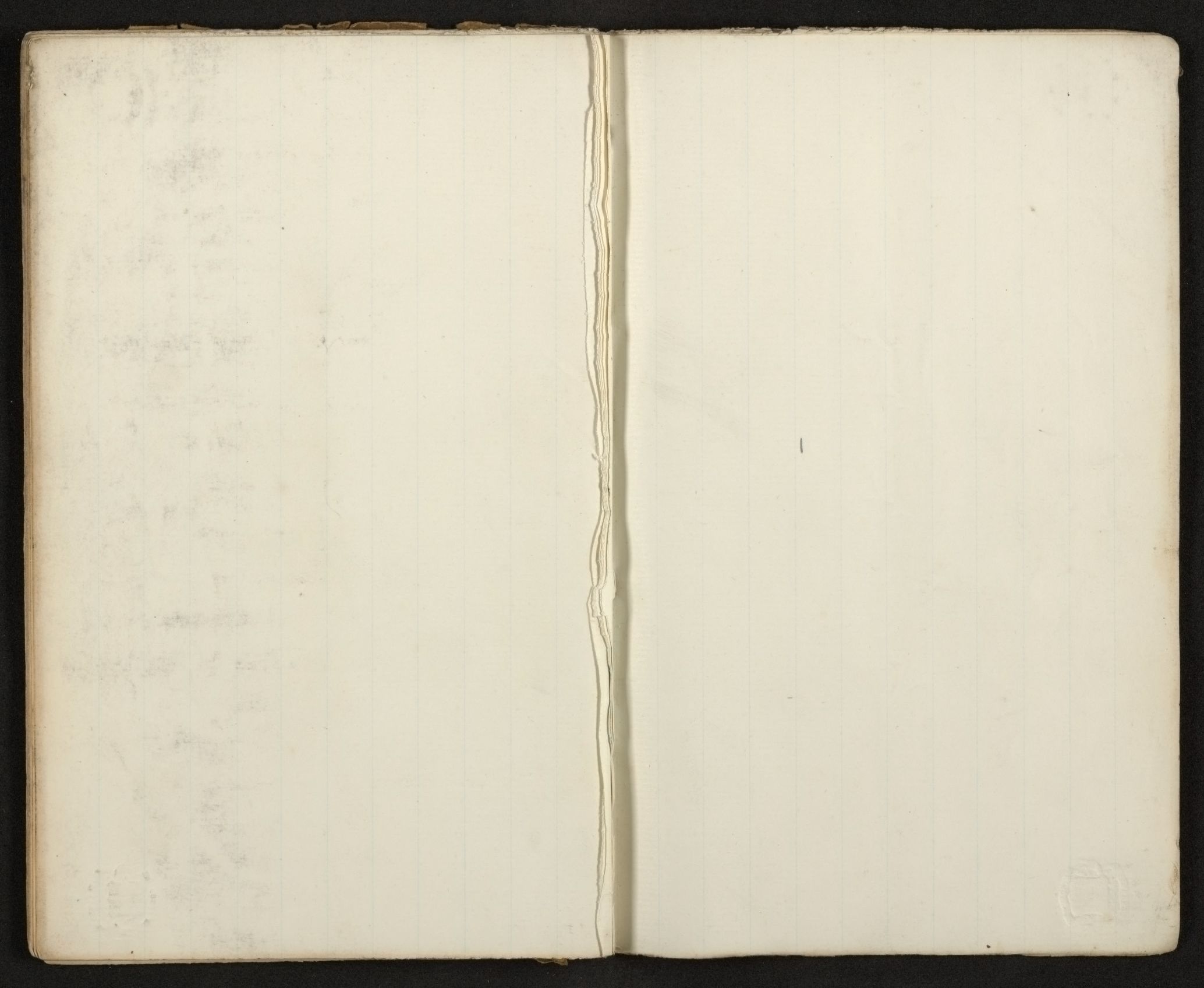 mss1863001154-11