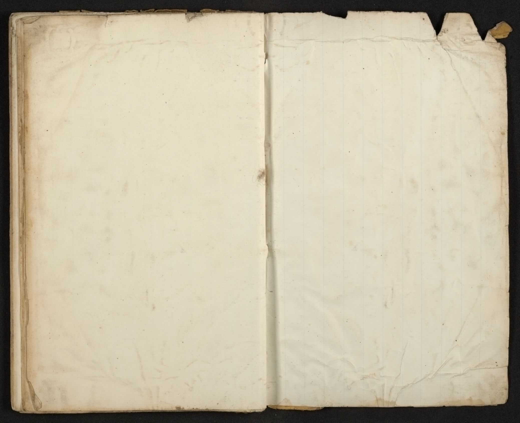 mss1863001154-12