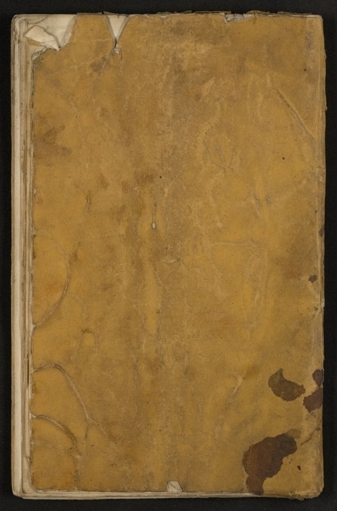 mss1863001154-13