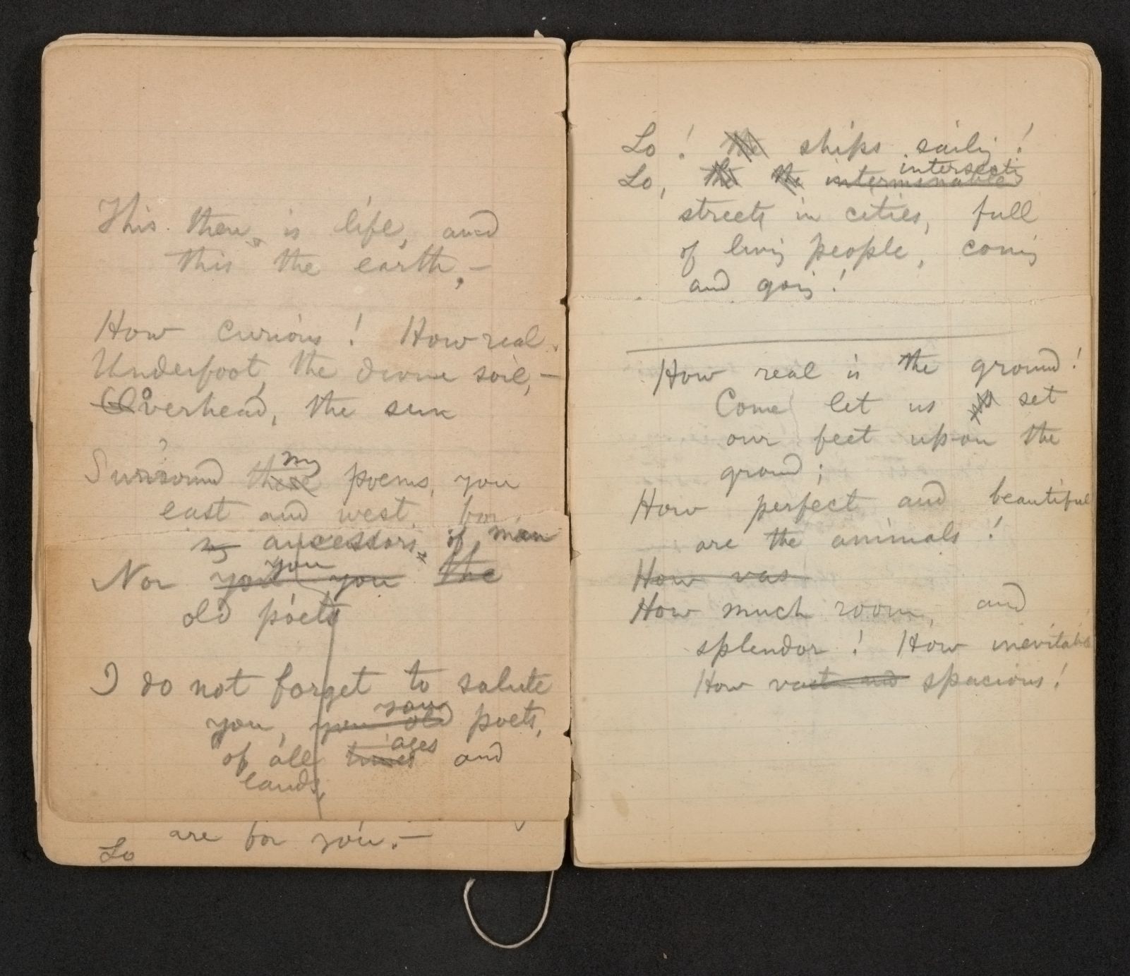 Scanned image of the current content page