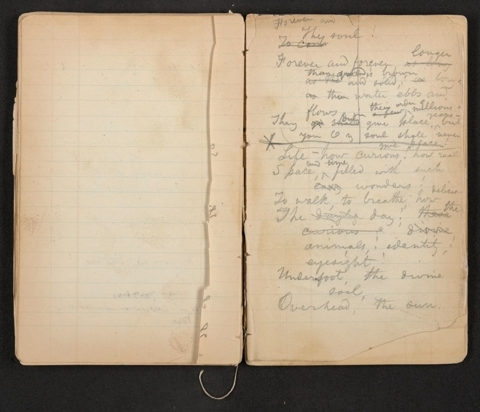Scanned image of the current content page