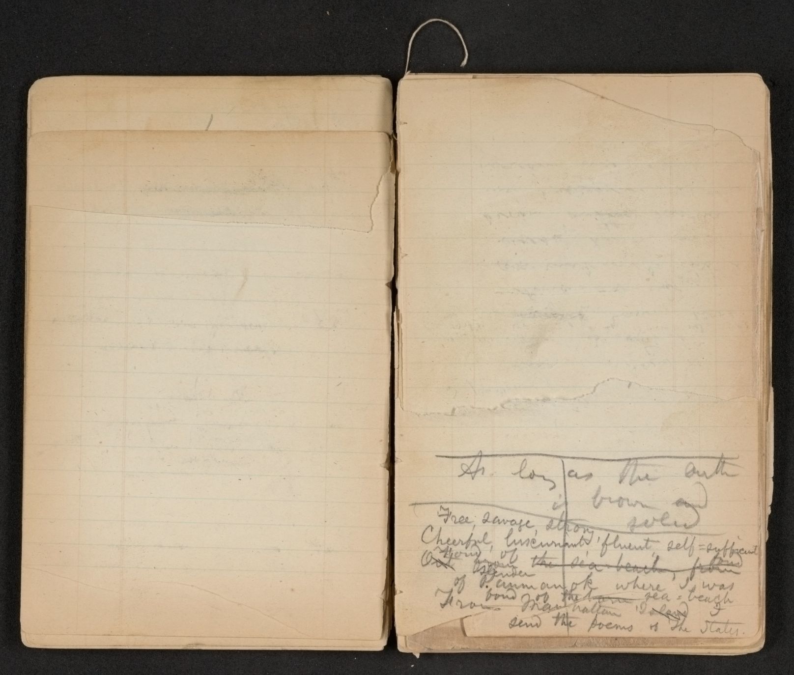 Scanned image of the current content page