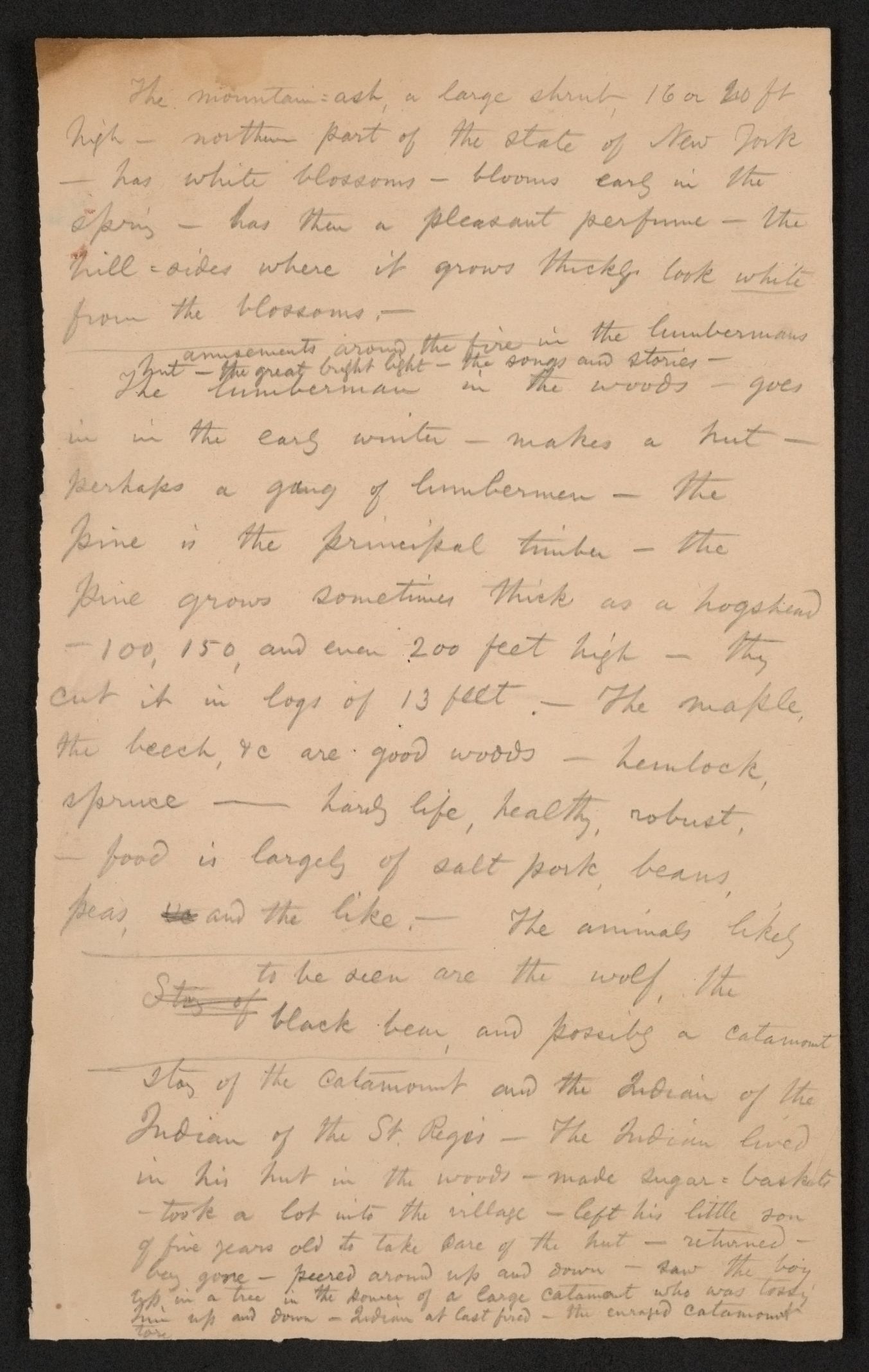 mss1863001204-4