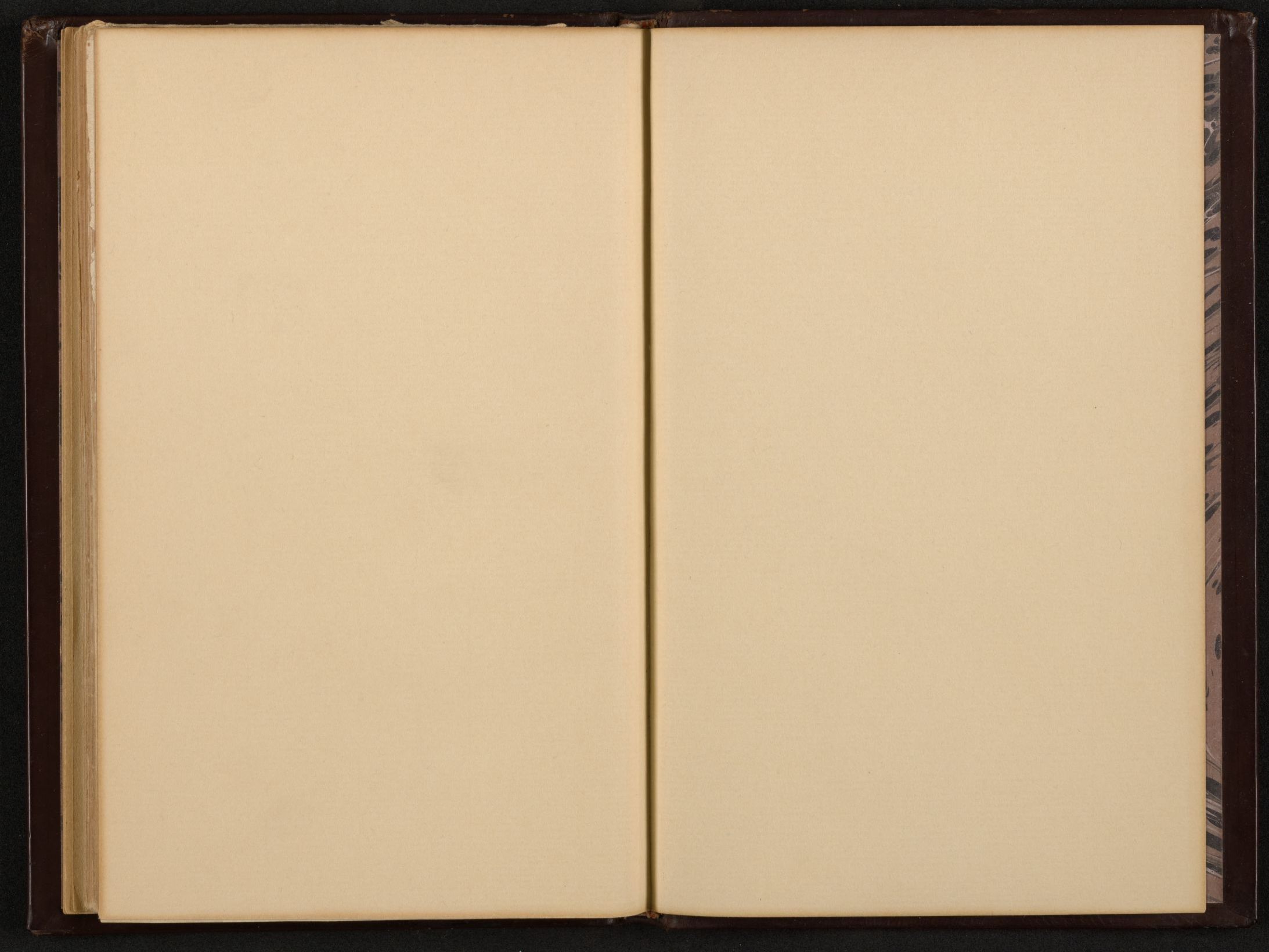 mss1863001492-48