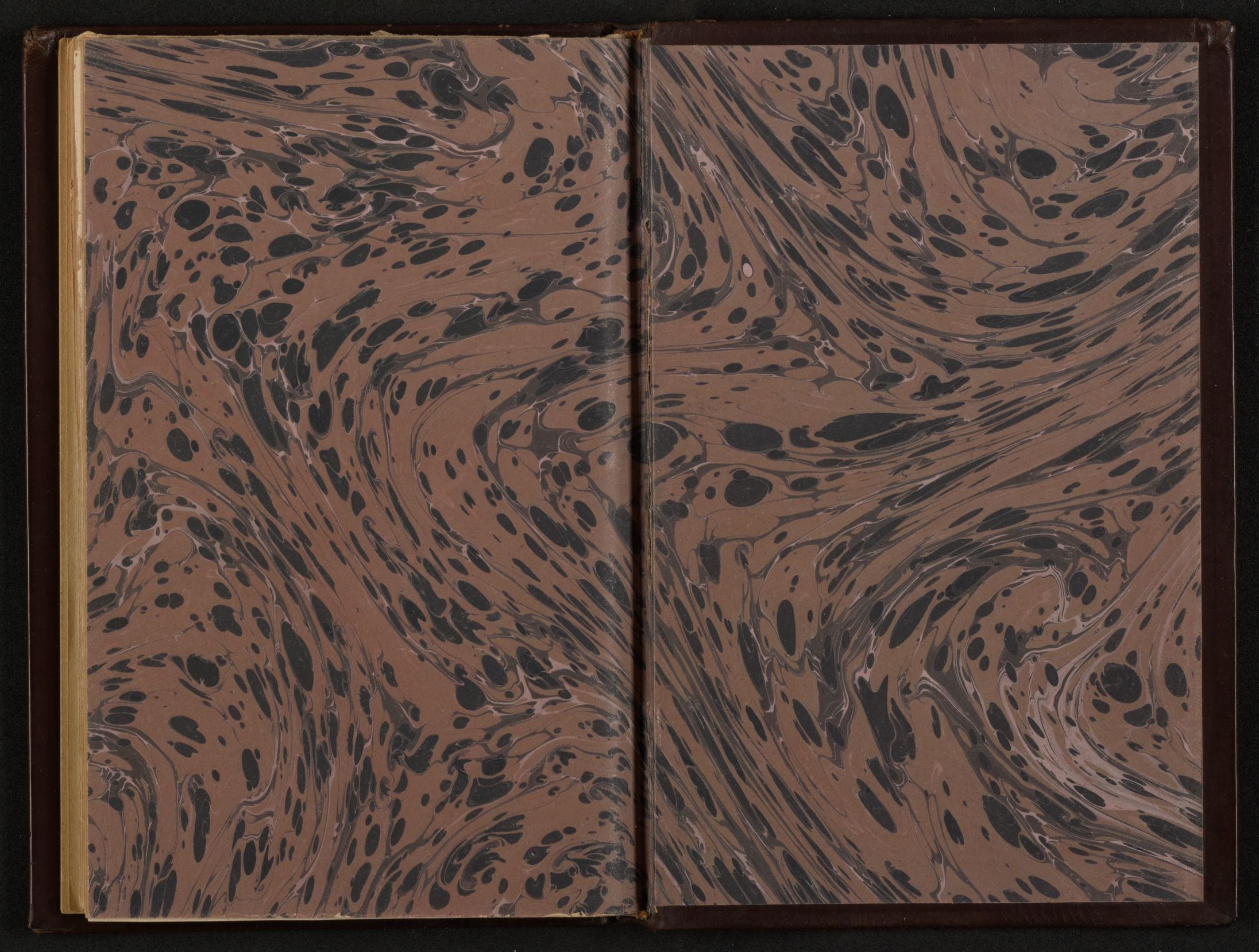 mss1863001492-49