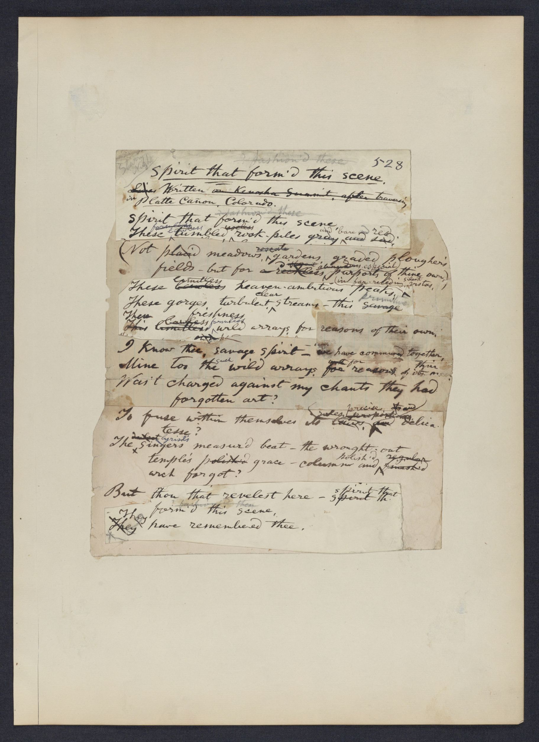 mss1863002836-11