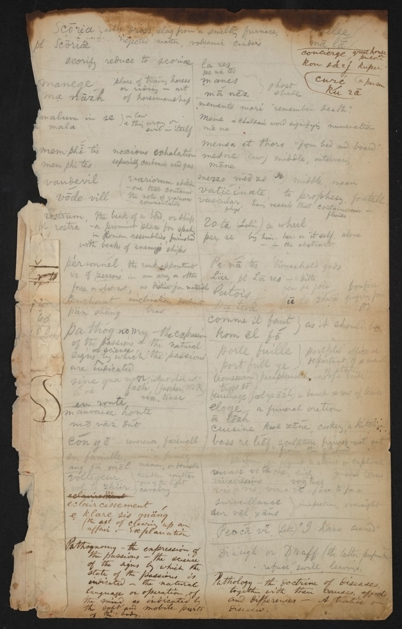 mss1863001118-5